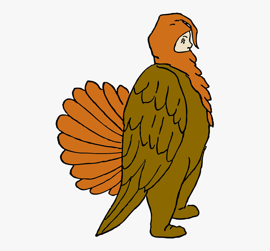 Costume, Turkey, Thanksgiving, Boy, Festival, Usa - Turkey Costume Transparent, HD Png Download, Free Download