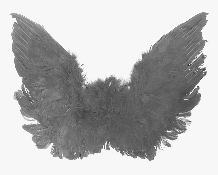 Transparent Angel Wing Png - Transparent Dark Wings Png, Png Download, Free Download