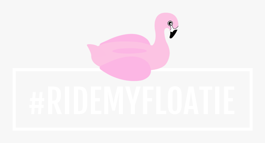 Shell Floatie - Water Bird, HD Png Download, Free Download