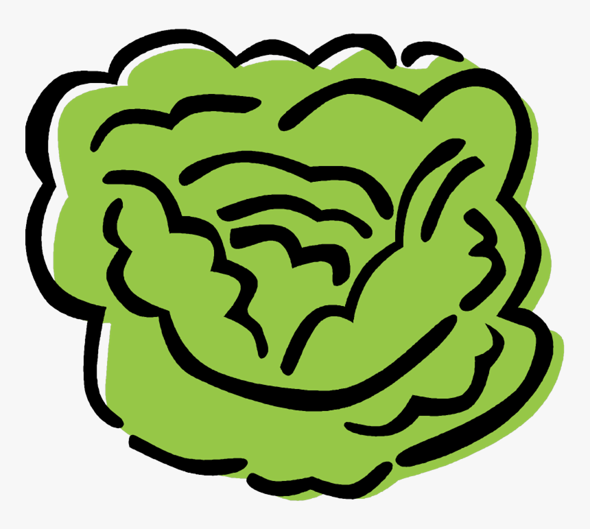 Lettuce Clipart Sliced - Alface Vetor, HD Png Download, Free Download