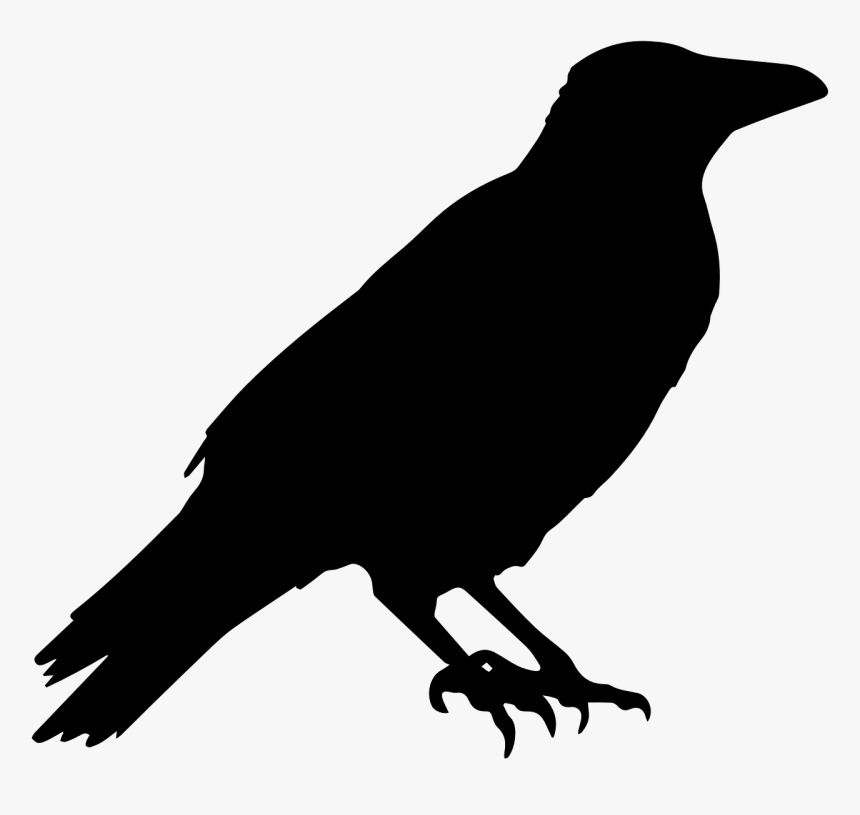 Black Crow Clipart, HD Png Download, Free Download