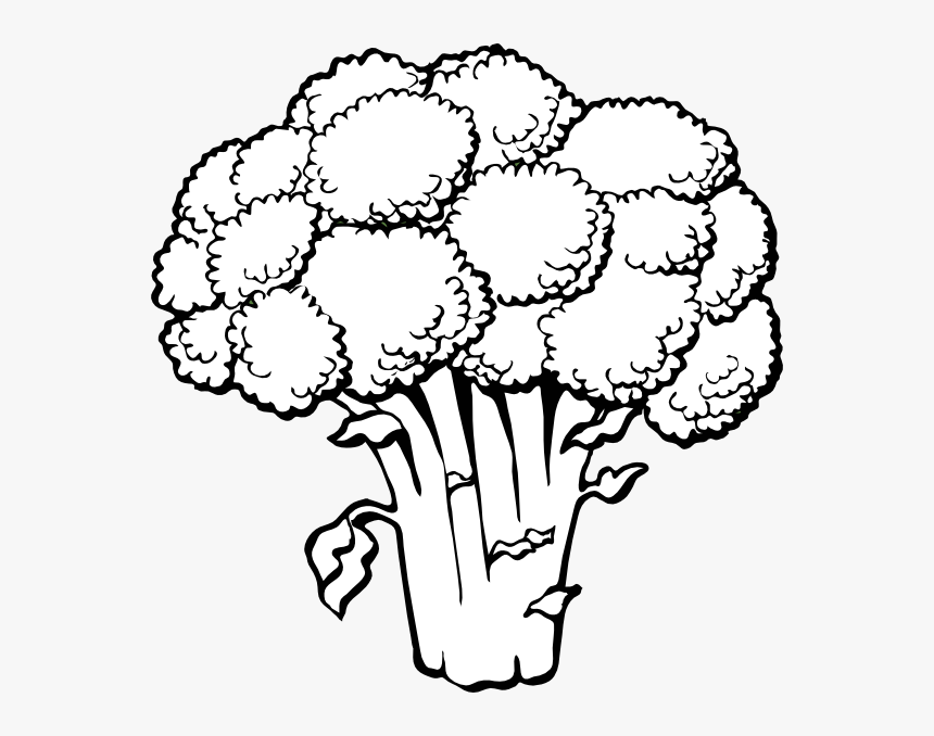 Lettuce 2 Famclipart Hd Image Clipart - Vegetables Clipart Black And White, HD Png Download, Free Download