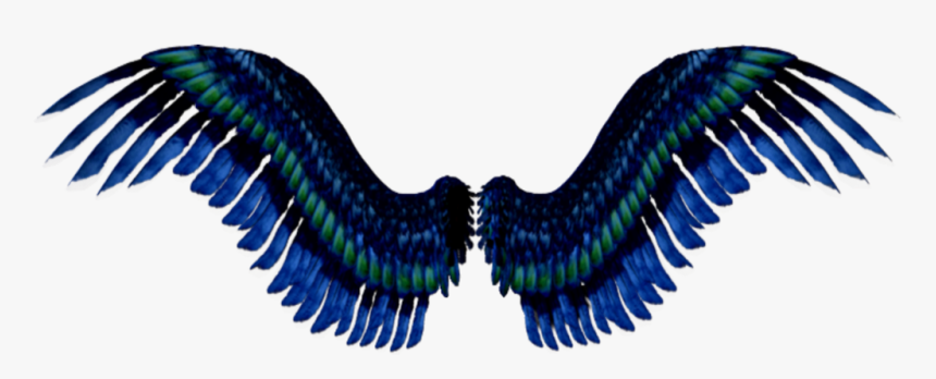 #blue #green #black #wings #flying #halloween #angel - Asas Tumblr Png Coloridas, Transparent Png, Free Download