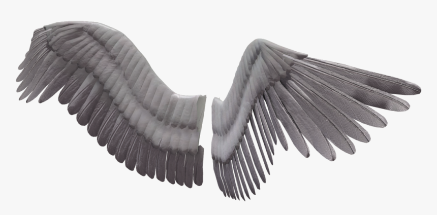 Angel Wings Png Image Background - Transparent Background Bird Wings Png, Png Download, Free Download