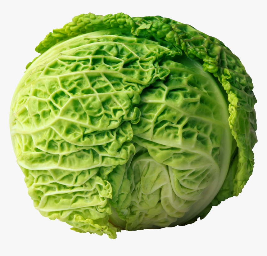 Cabbage Png Image - Cabbage Png, Transparent Png, Free Download