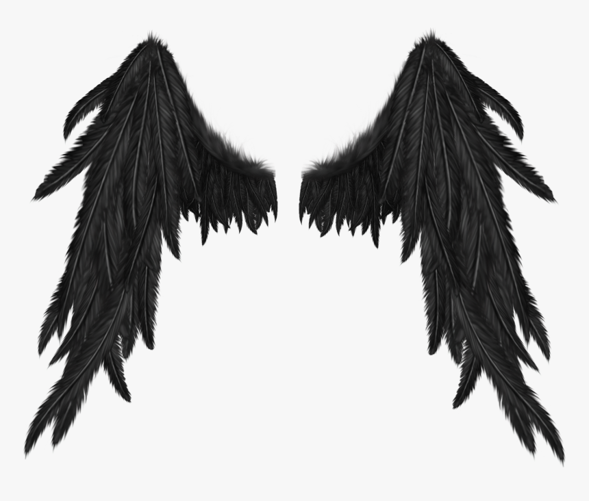 Black Wings PNG Image for Free Download