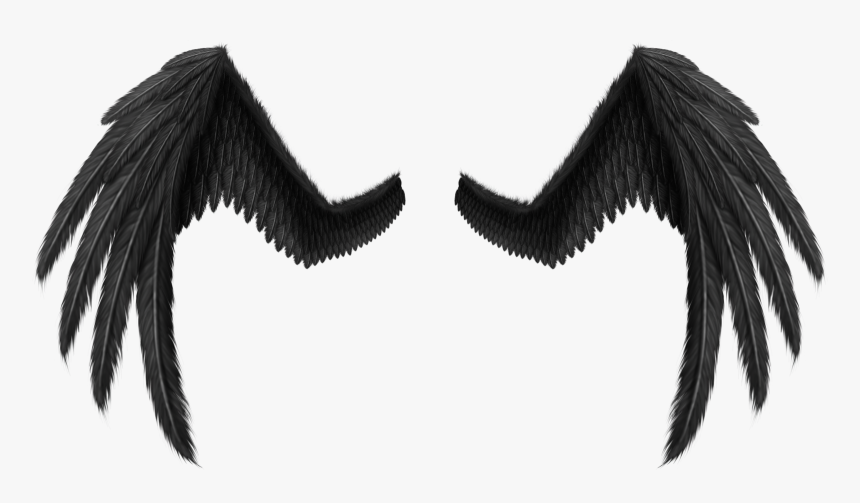 Transparent Asas Png - Black Monster Wing Png, Png Download, Free Download