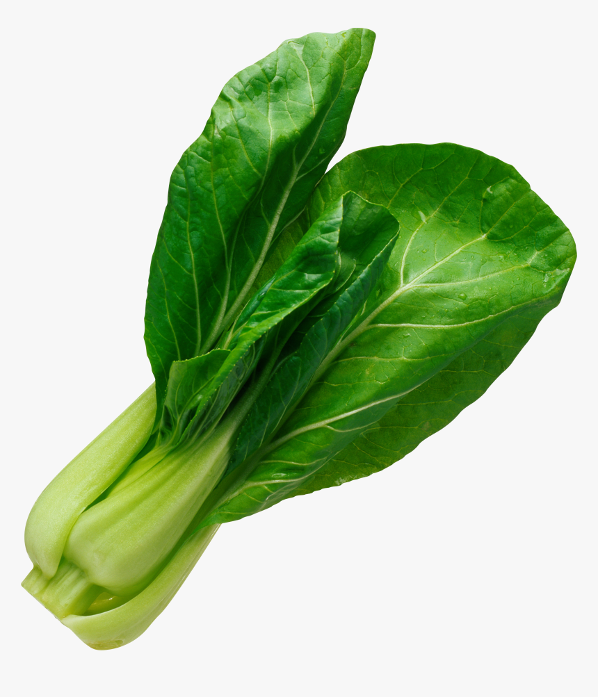 Salad Leaf Png Image - Spinach Png, Transparent Png, Free Download