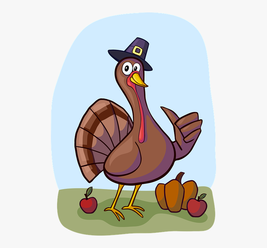 Turkey, Bird, Thanksgiving, Background, Grass, Holiday - Turkey With Thumbs Up, HD Png Download, Free Download