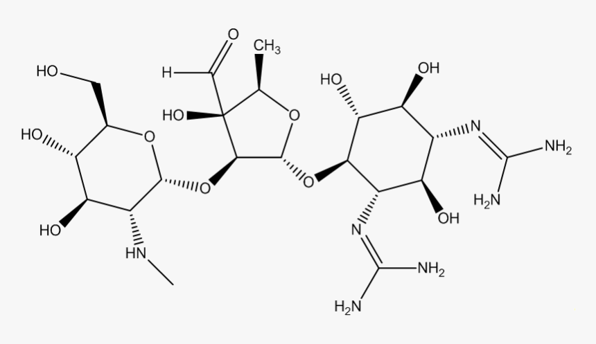 Diagram, HD Png Download, Free Download