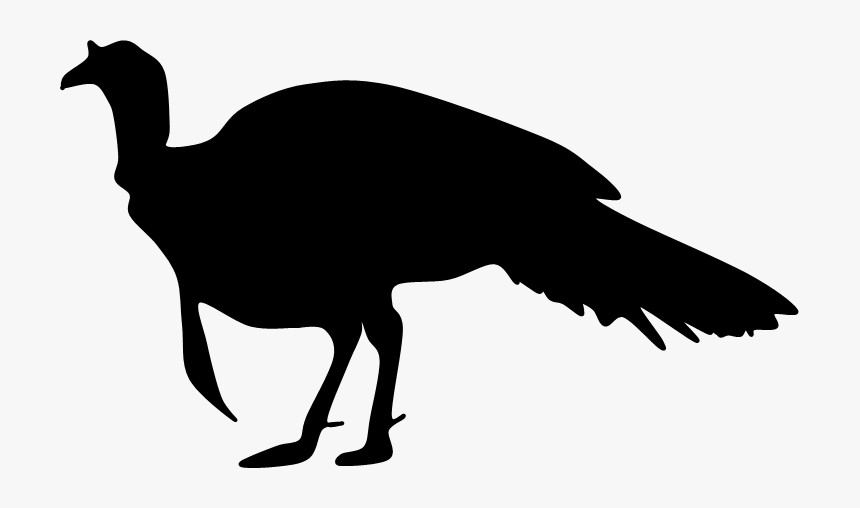 Top 89 Wild Turkey Clipart - Flying Turkey Silhouette, HD Png Download, Free Download