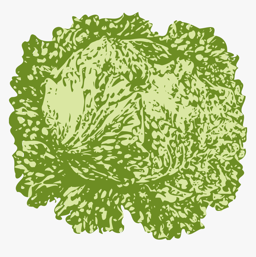 Lettuce Svg Clip Arts - Slice Of Lettuce, HD Png Download, Free Download