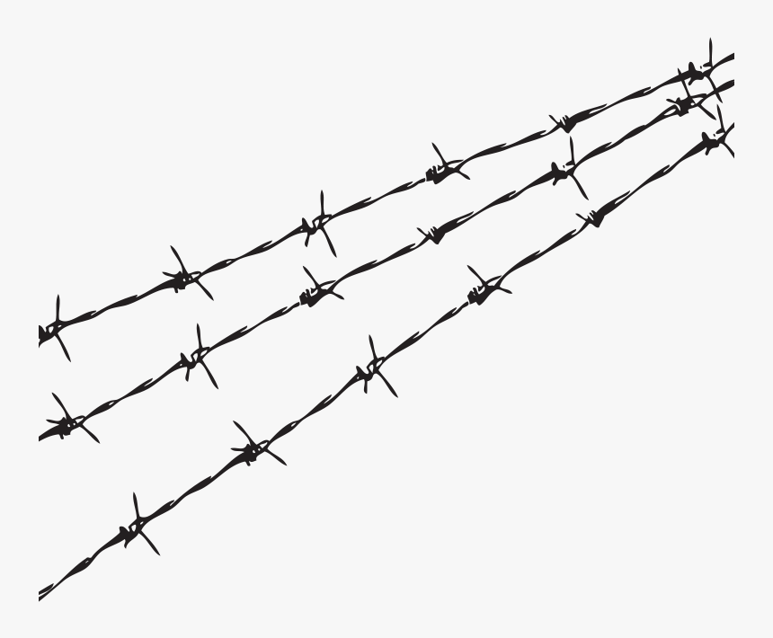 Fence - Transparent Background Barbed Wire Png, Png Download, Free Download