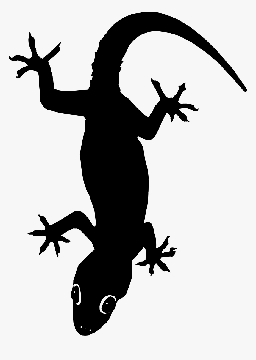 Lizard Clip Art - Lizard Vector Png, Transparent Png, Free Download