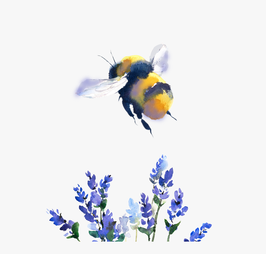 Bumble Bee Watercolor , Png Download - Watercolor Bumblebee And Flower, Transparent Png, Free Download