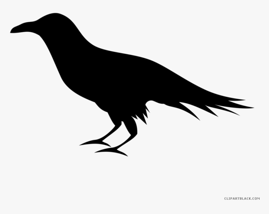 Transparent Raven Silhouette Png - Raven Clipart Png, Png Download, Free Download