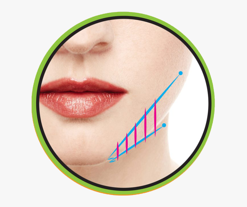 Non Surgical Neck And Jowl Lift - Work And Padel, HD Png Download, Free Download