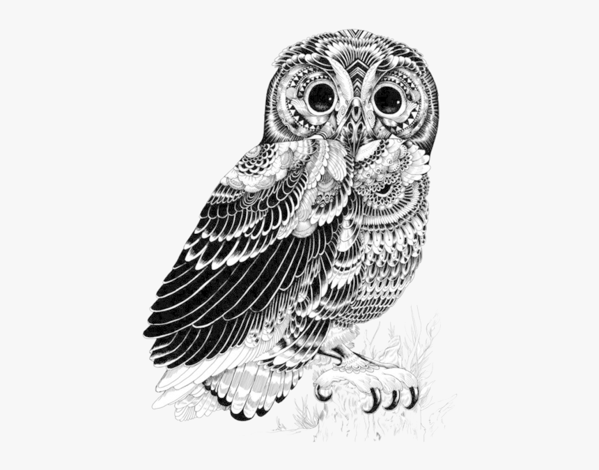 Tumblr, Cool, Draw - Pen And Ink Animal Art, HD Png Download, Free Download