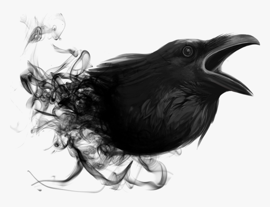 Transparent Ravens Png - Corvo Png, Png Download, Free Download