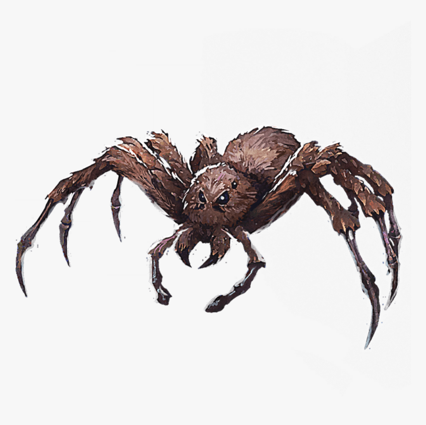 Transparent Wolf Spider Png - Acromantula Wizards Unite, Png Download, Free Download