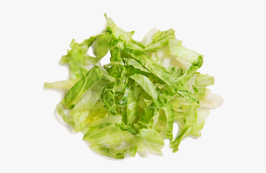 Shredded Lettuce Transparent Background, HD Png Download, Free Download