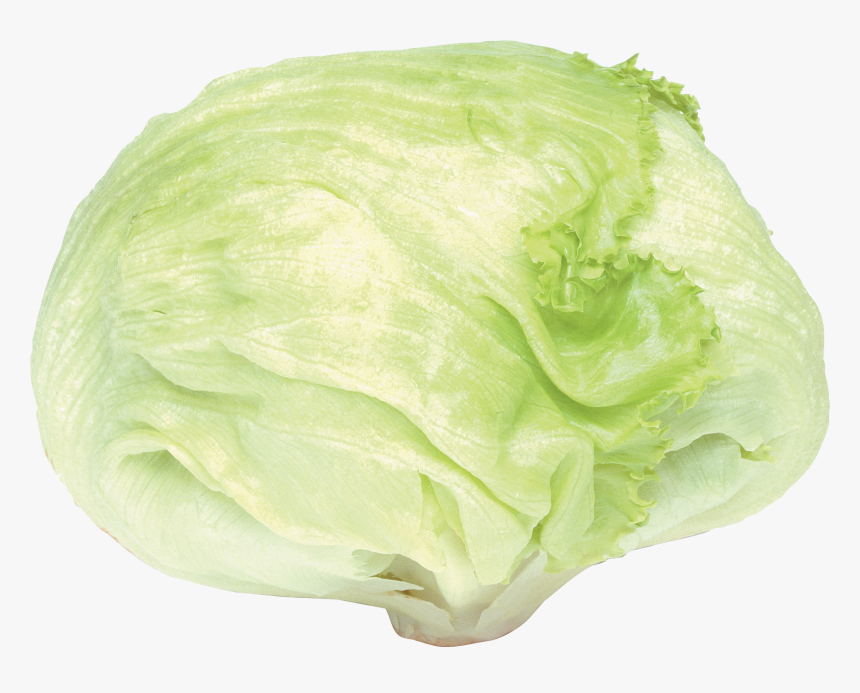 Lettuce Iceberg Png, Transparent Png, Free Download
