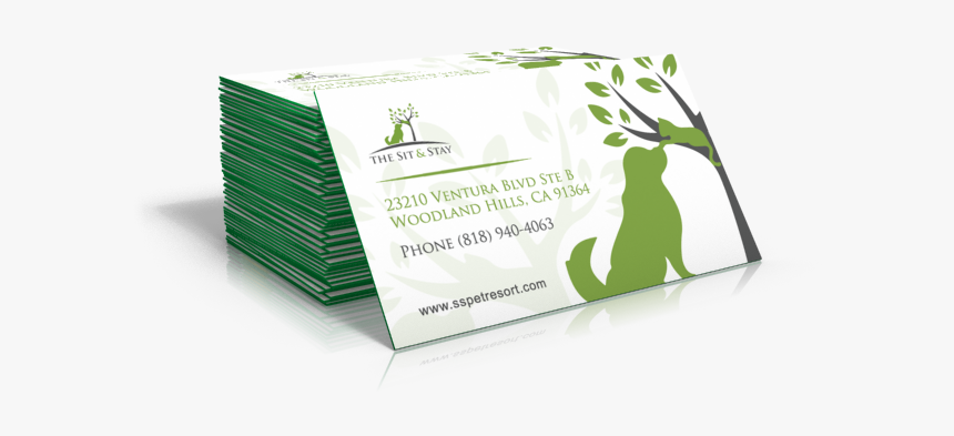 Kiwi, HD Png Download, Free Download