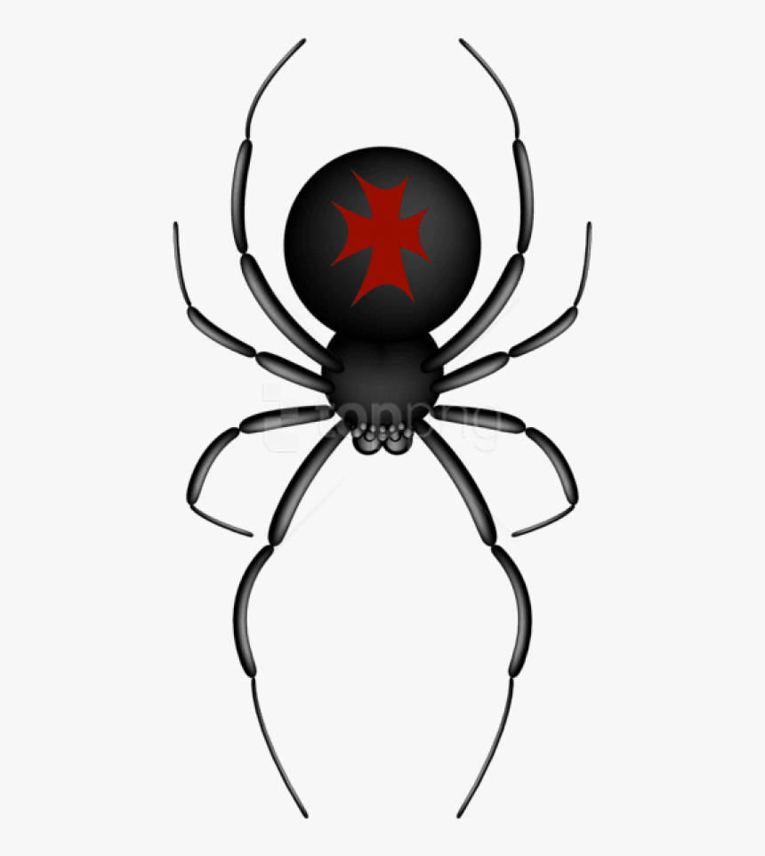 Transparent Background Cartoon Spider, HD Png Download, Free Download