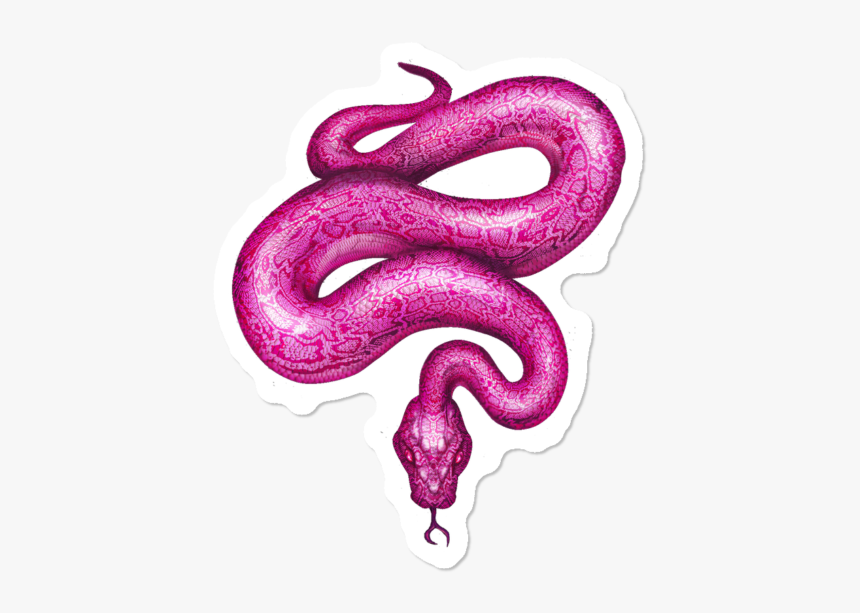 Serpent, HD Png Download, Free Download