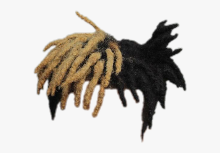 Xxxtentacion Hair Png, Transparent Png, Free Download