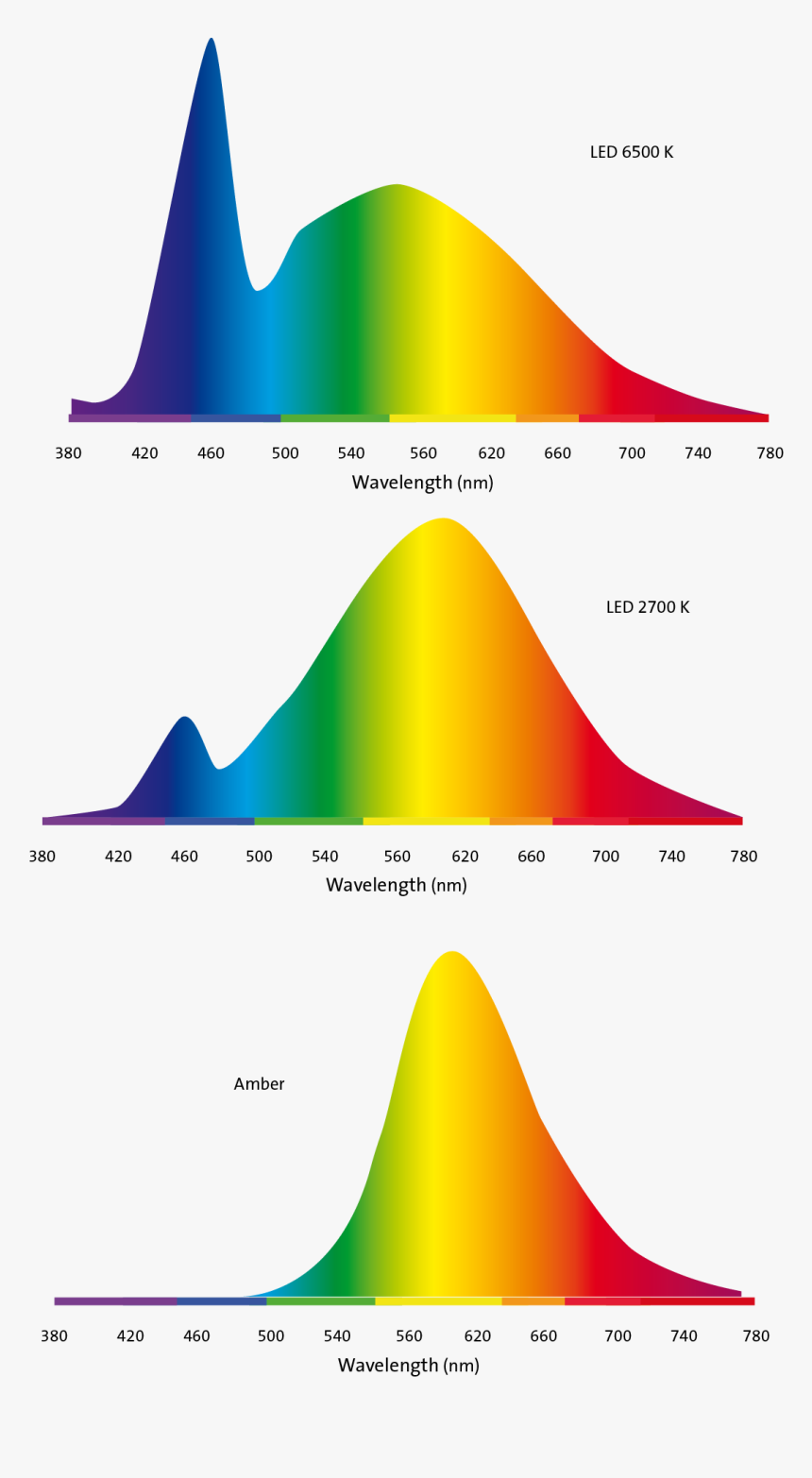 Products With Amber - Cat Color Spectrum, HD Png Download, Free Download