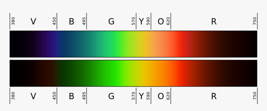 Transparent Color Spectrum Png - Blue Light Lens Test, Png Download, Free Download