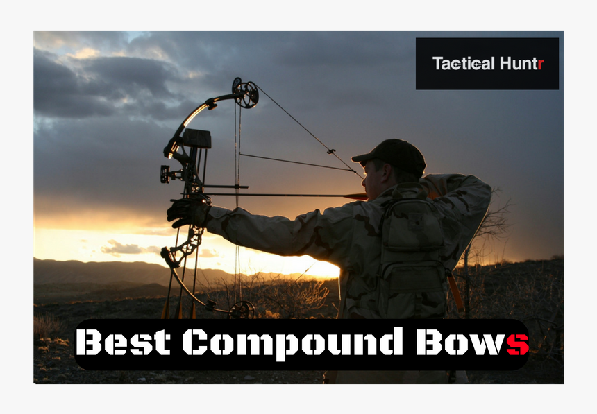 Compound Bow Reviews - Archery Hunt, HD Png Download, Free Download