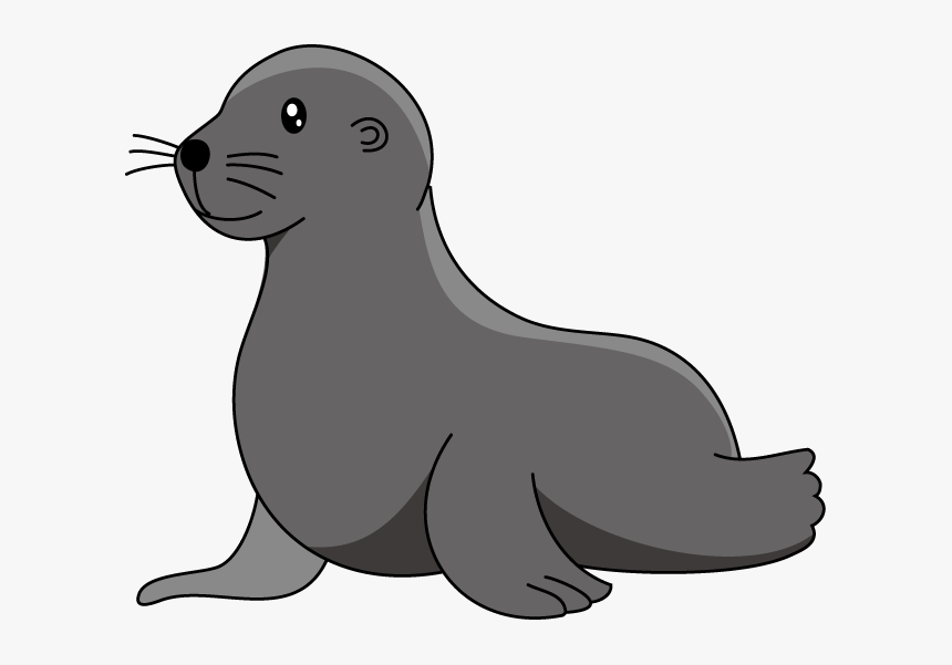 Baby Sea Lion Elephant Seal Clip Art - Clip Art Sea Lion, HD Png Download, Free Download