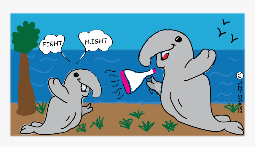 Elephant Seal Illustration, HD Png Download, Free Download