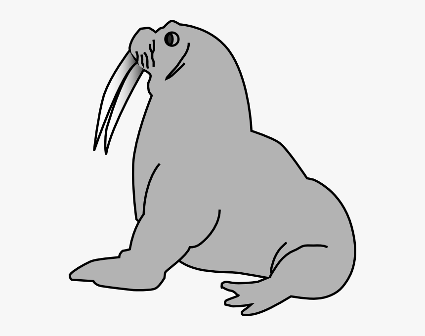 Elephant Seal Png, Transparent Png, Free Download