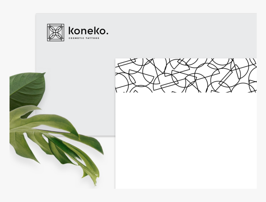 Koneko 02 03 , Png Download - Bay Laurel, Transparent Png, Free Download