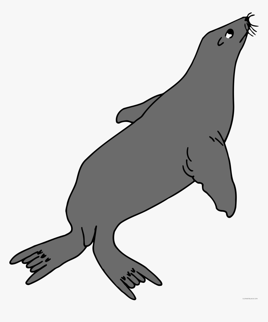 Transparent Seal Clipart Black And White - Walrus Tail, HD Png Download, Free Download