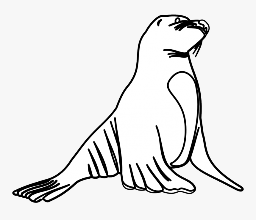 Sea Lion Clipart Fur Seal - Sea Lion Colouring Pages, HD Png Download, Free Download