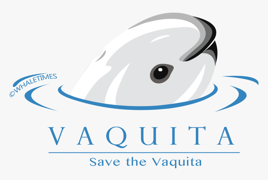 Save The Vaquita, HD Png Download, Free Download