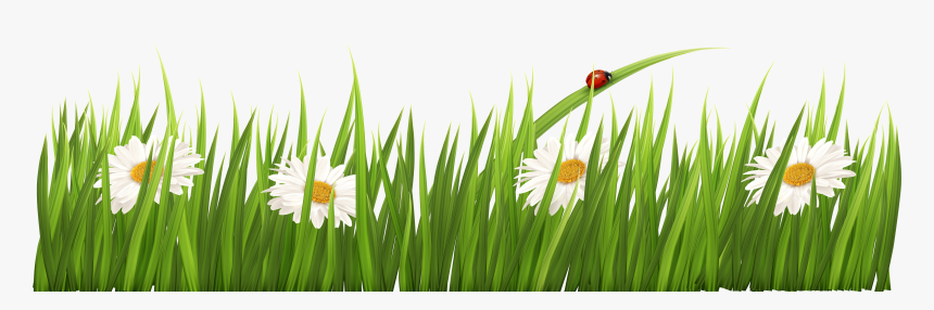 White Flowers With Grass Transparent Png Clipart - Transparent Background Grass Border, Png Download, Free Download