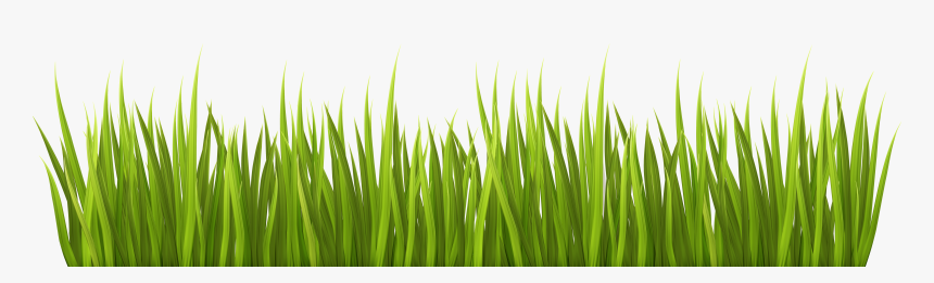 Grass Overlay Png Clipart Library Download - Clipart Grass Transparent Background, Png Download, Free Download