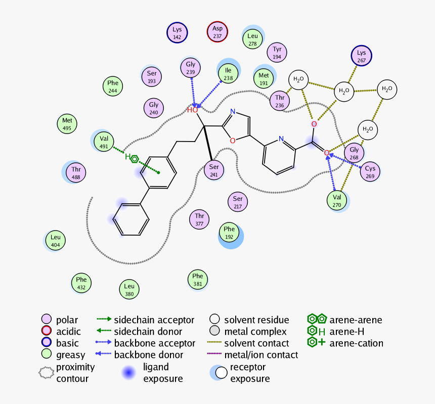 Ligand - Moe Ligand Interaction Diagrams, HD Png Download, Free Download