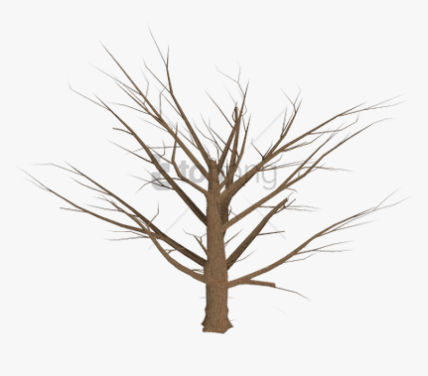 Dead Grass Png - Dead Tree Png, Transparent Png, Free Download