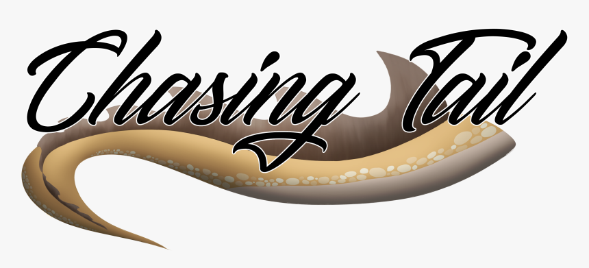 Chasing Tail Demo, HD Png Download, Free Download