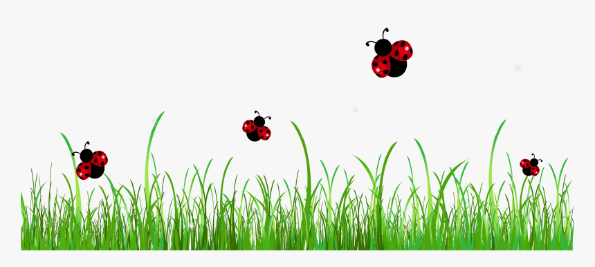 Grass Clipart Transparent Background - Ladybugs Png, Png Download, Free Download