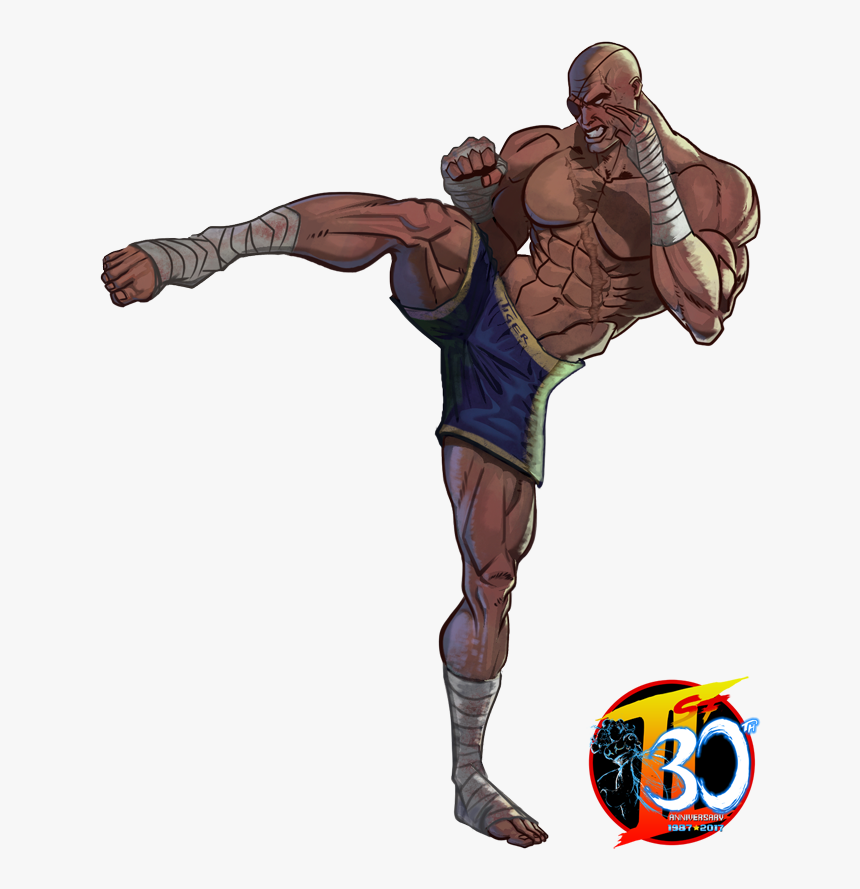 Sagat Street Fighter Kick, HD Png Download, Free Download