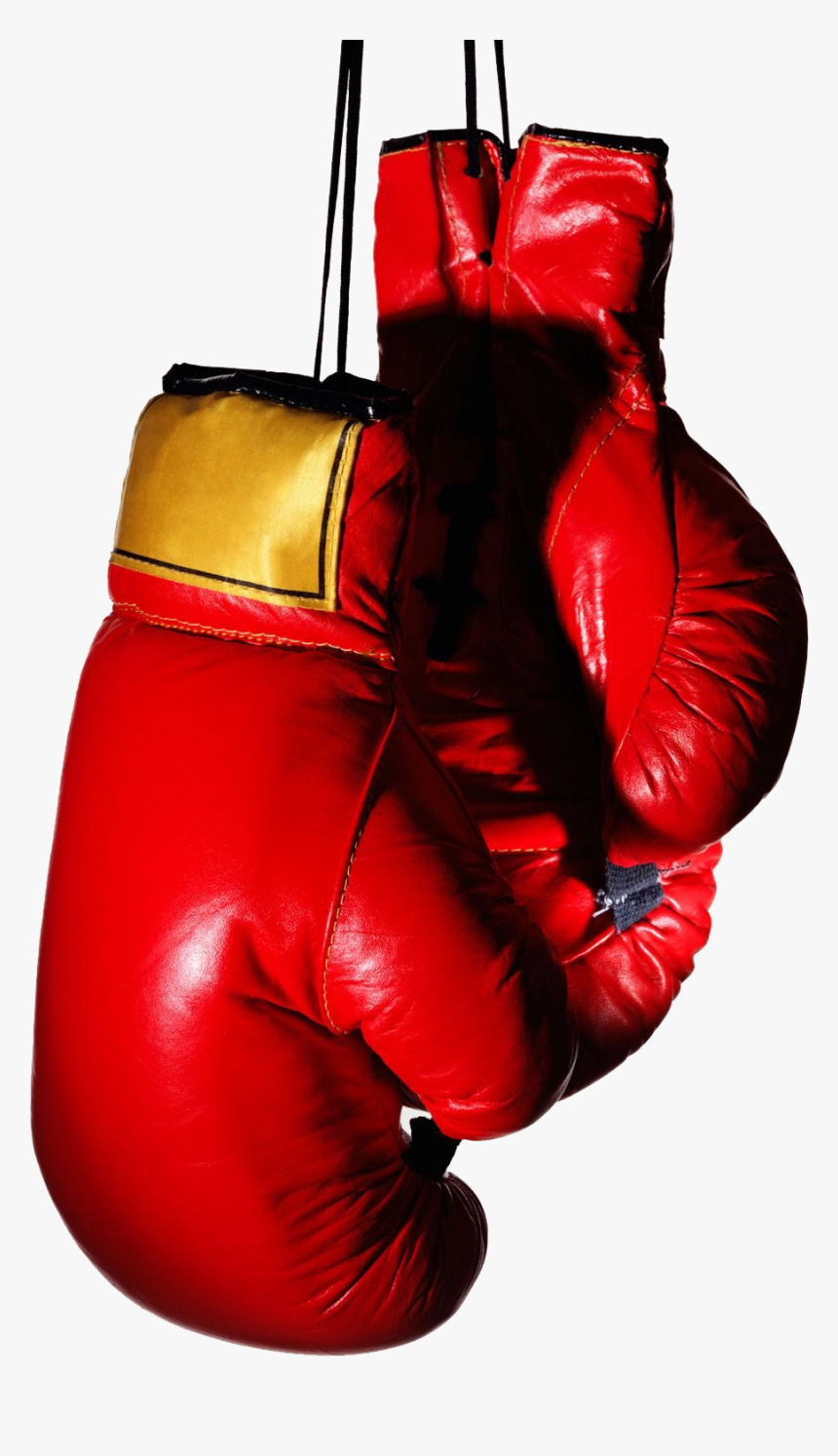 Boxing Glove Stock Photography Muay Thai - Transparent Background Boxing Gloves Png, Png Download, Free Download