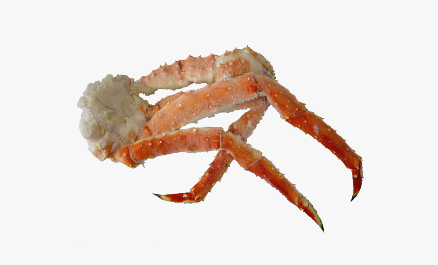 Alaskan King Crab Leg - King Crab, HD Png Download, Free Download