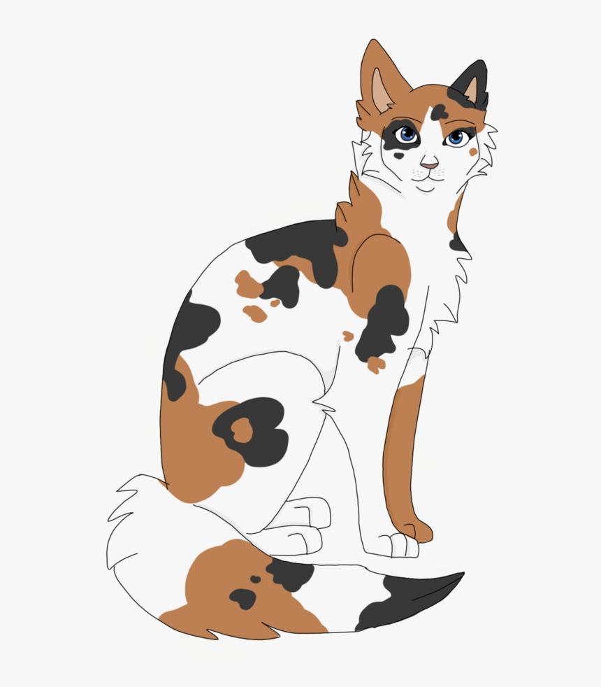 Transparent Snowshoe Clipart - Warrior Cat Clipart Transparent Background, HD Png Download, Free Download